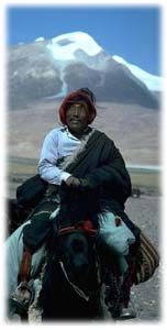 nomad.jpg (8748 bytes)