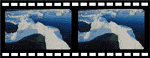 Iceberg filmstrip