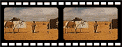 Nomads filmstrip